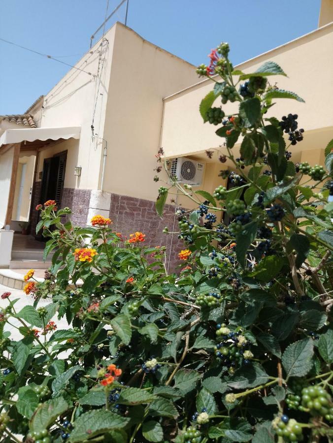 בירג'י וקי Apartment Of Kite And Wine מראה חיצוני תמונה